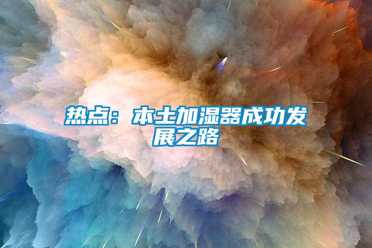 熱點(diǎn)：本土加濕器成功發(fā)展之路