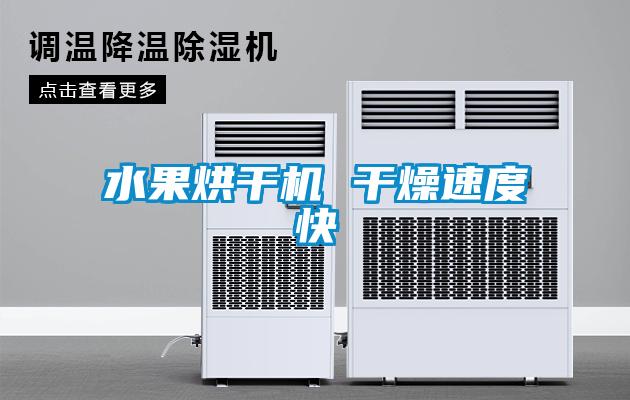 水果烘干機 干燥速度快