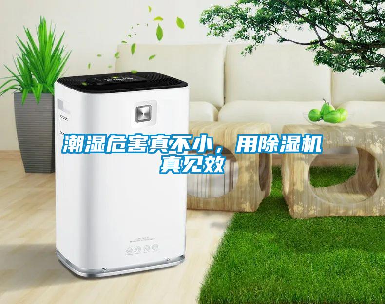 潮濕危害真不小，用除濕機(jī)真見(jiàn)效