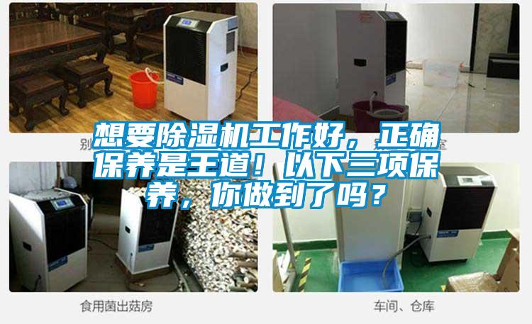 想要除濕機(jī)工作好，正確保養(yǎng)是王道！以下三項(xiàng)保養(yǎng)，你做到了嗎？