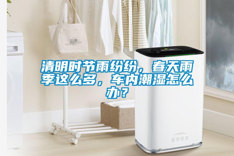 清明時節(jié)雨紛紛，春天雨季這么多，車內(nèi)潮濕怎么辦？