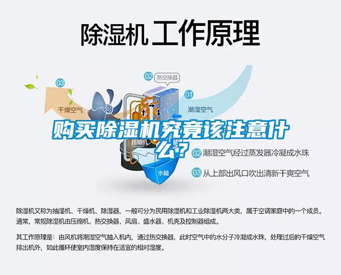 購買除濕機究竟該注意什么？