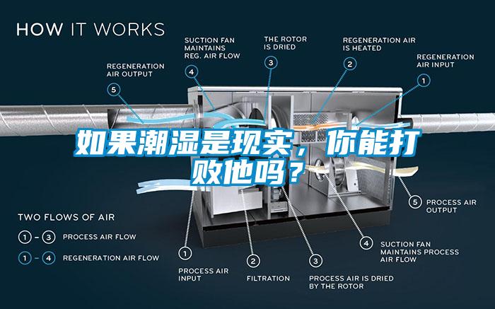 如果潮濕是現(xiàn)實(shí)，你能打敗他嗎？