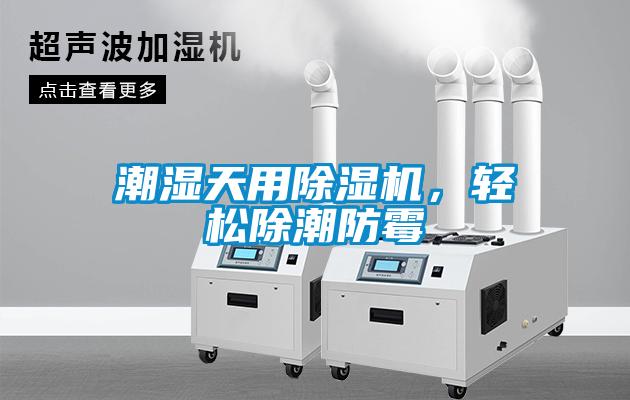 潮濕天用除濕機(jī)，輕松除潮防霉
