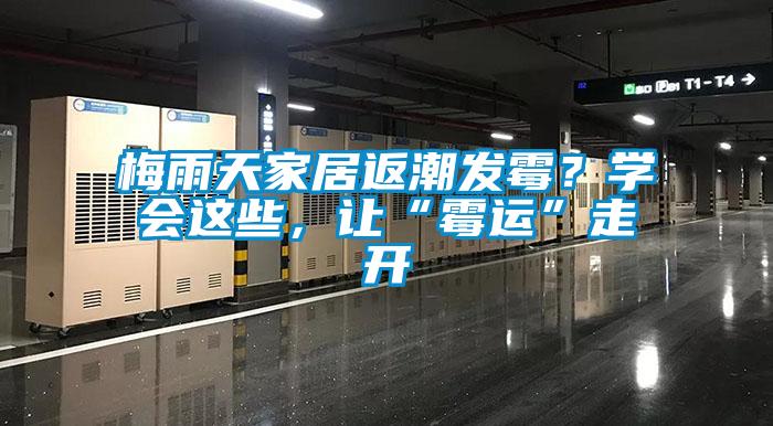 梅雨天家居返潮發(fā)霉？學(xué)會(huì)這些，讓“霉運(yùn)”走開