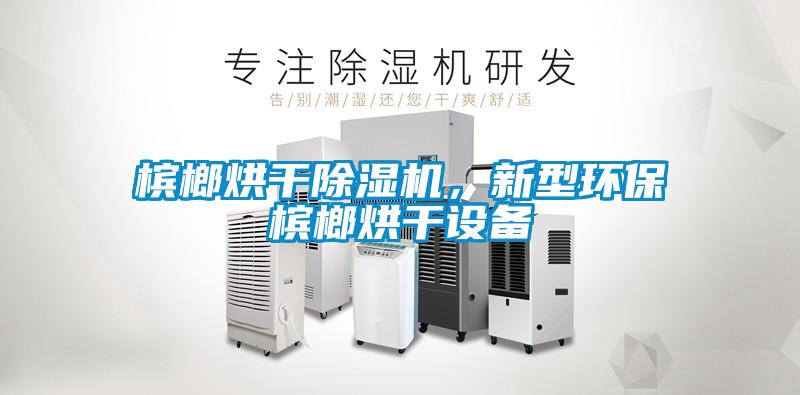 檳榔烘干除濕機，新型環(huán)保檳榔烘干設(shè)備