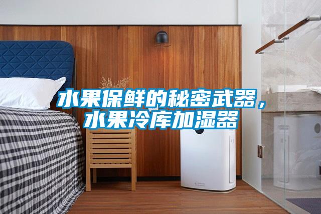 水果保鮮的秘密武器，水果冷庫加濕器