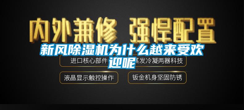 新風(fēng)除濕機為什么越來受歡迎呢