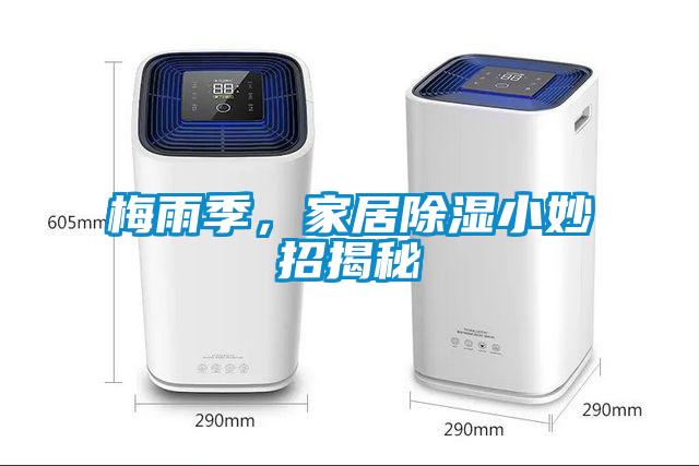 梅雨季，家居除濕小妙招揭秘