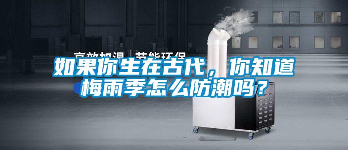 如果你生在古代，你知道梅雨季怎么防潮嗎？