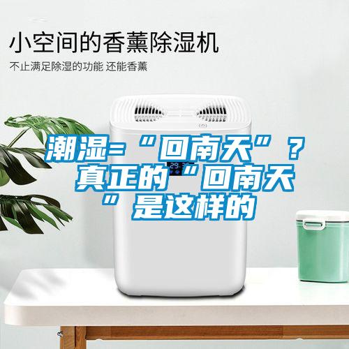 潮濕=“回南天”？ 真正的“回南天”是這樣的