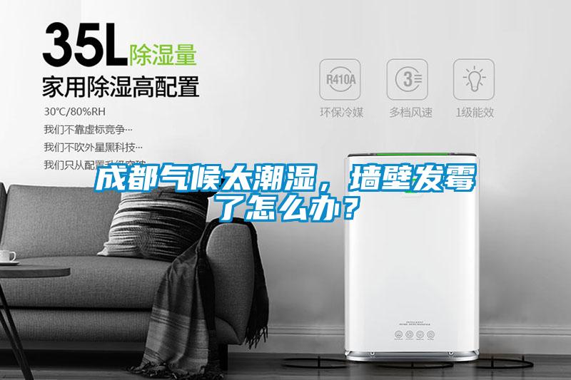 成都氣候太潮濕，墻壁發(fā)霉了怎么辦？