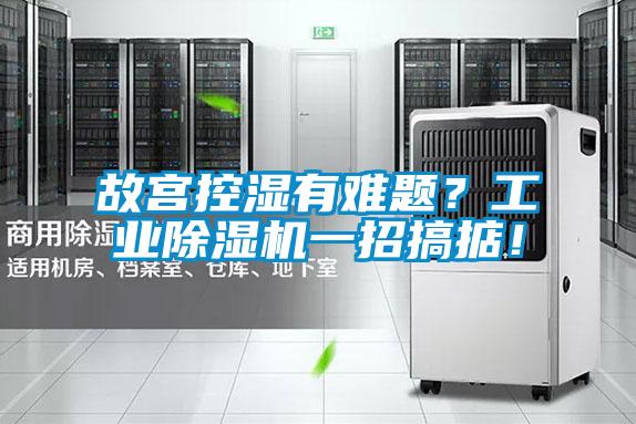故宮控濕有難題？工業(yè)除濕機(jī)一招搞掂！