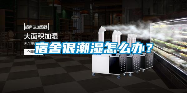 宿舍很潮濕怎么辦？