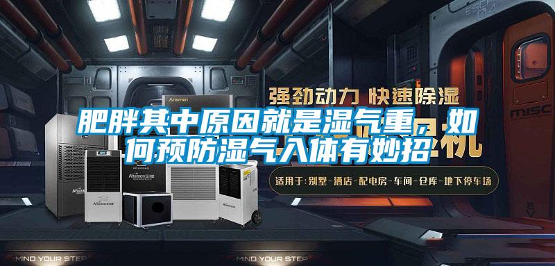 肥胖其中原因就是濕氣重，如何預防濕氣入體有妙招