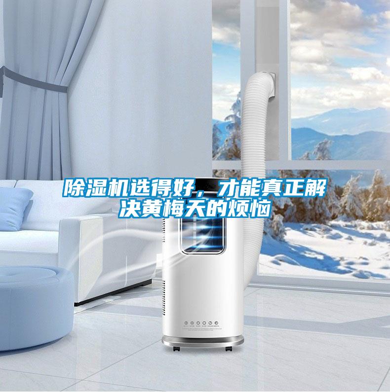 除濕機選得好，才能真正解決黃梅天的煩惱
