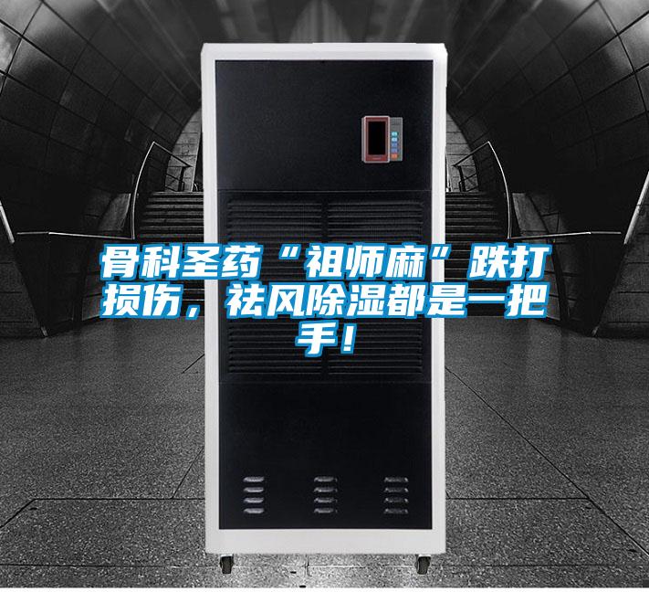 骨科圣藥“祖師麻”跌打損傷，祛風除濕都是一把手！