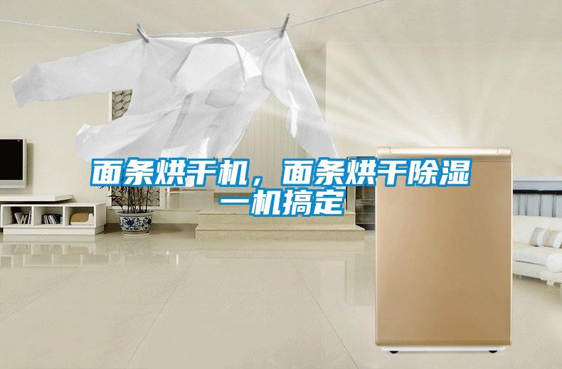 面條烘干機，面條烘干除濕一機搞定