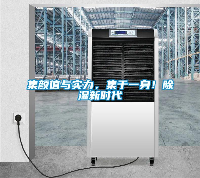 集顏值與實力，集于一身！除濕新時代