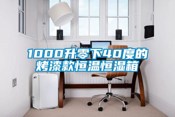 1000升零下40度的烤漆款恒溫恒濕箱