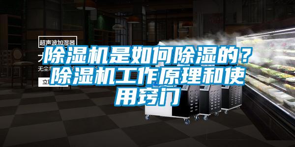 除濕機是如何除濕的？除濕機工作原理和使用竅門