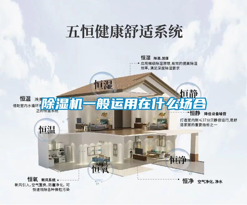 除濕機(jī)一般運(yùn)用在什么場(chǎng)合