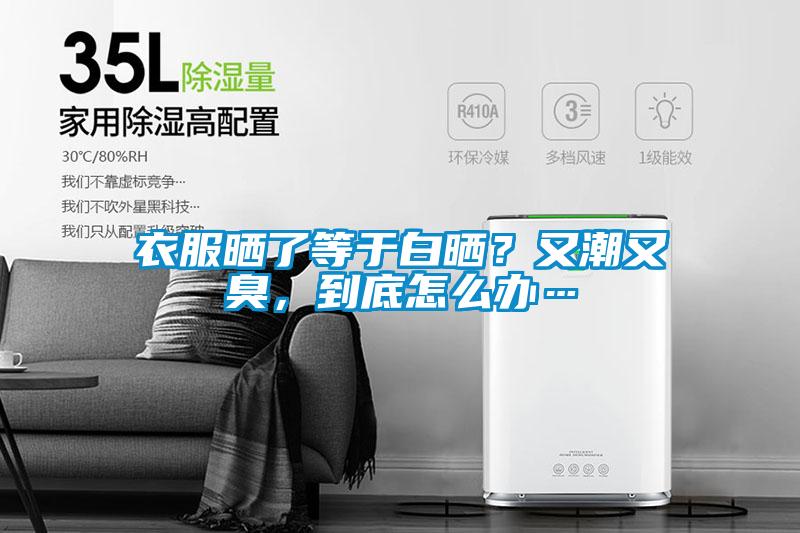 衣服曬了等于白曬？又潮又臭，到底怎么辦…