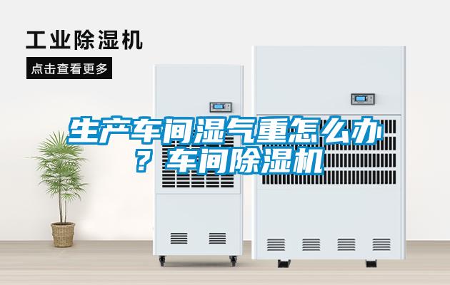 生產(chǎn)車間濕氣重怎么辦？車間除濕機(jī)