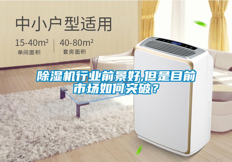 除濕機(jī)行業(yè)前景好,但是目前市場如何突破？