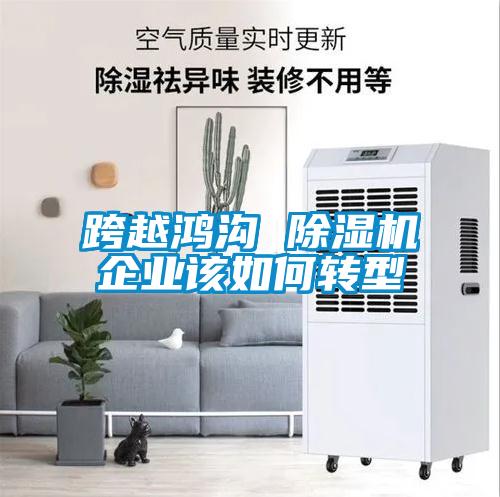 跨越鴻溝 除濕機企業(yè)該如何轉型