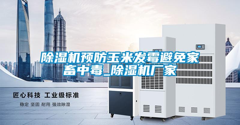 除濕機預防玉米發(fā)霉避免家畜中毒_除濕機廠家