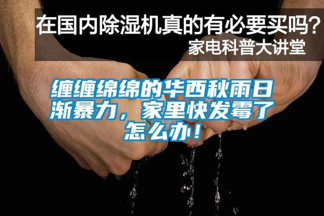 纏纏綿綿的華西秋雨日漸暴力，家里快發(fā)霉了怎么辦！