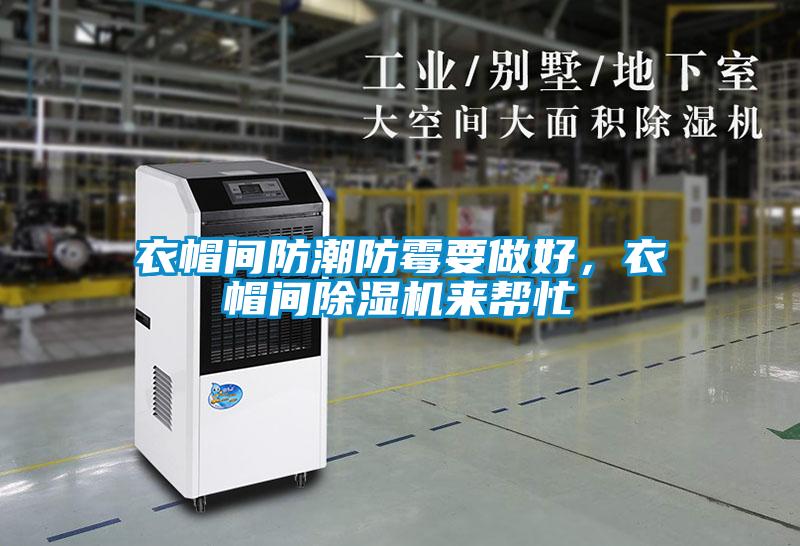 衣帽間防潮防霉要做好，衣帽間除濕機(jī)來幫忙
