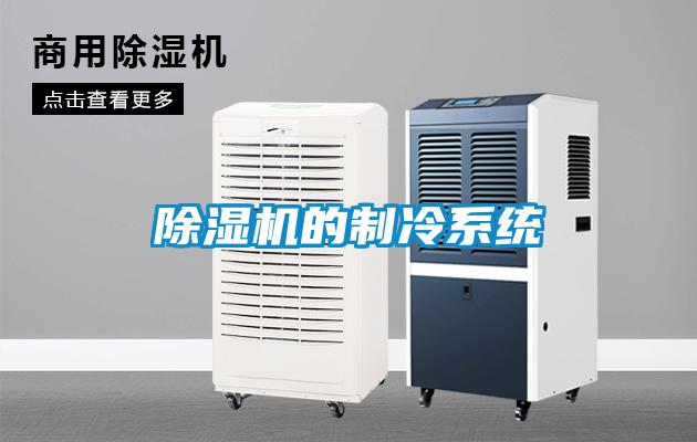 除濕機的制冷系統(tǒng)