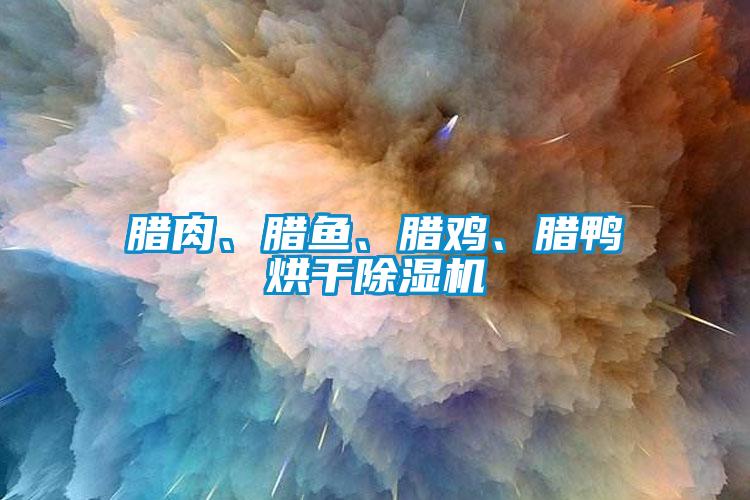 臘肉、臘魚、臘雞、臘鴨烘干除濕機(jī)