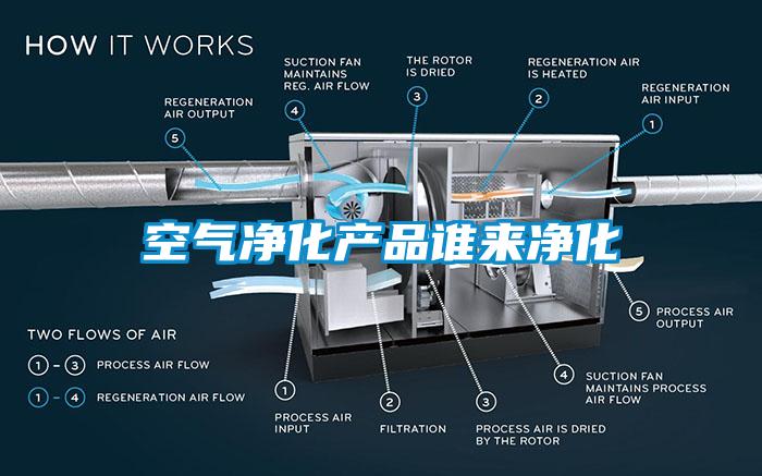 空氣凈化產(chǎn)品誰(shuí)來(lái)凈化