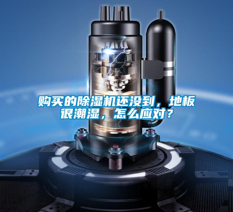 購買的除濕機還沒到，地板很潮濕，怎么應(yīng)對？