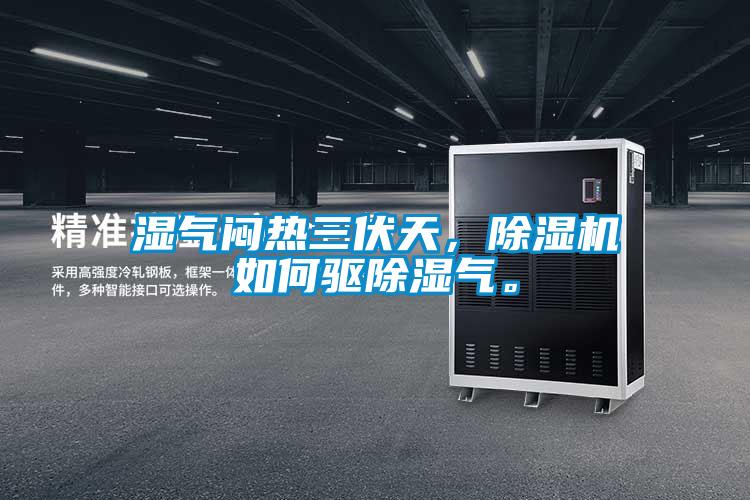濕氣悶熱三伏天，除濕機如何驅除濕氣。
