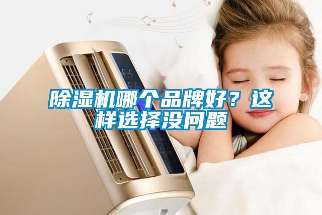 除濕機(jī)哪個(gè)品牌好？這樣選擇沒(méi)問(wèn)題