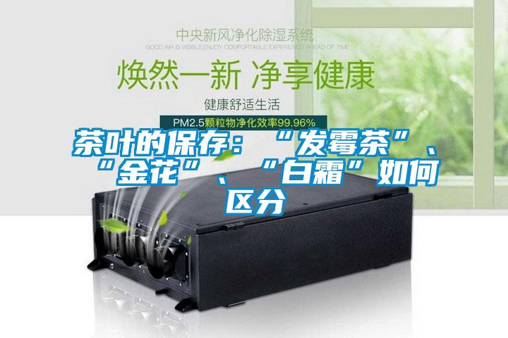 茶葉的保存：“發(fā)霉茶”、“金花”、“白霜”如何區(qū)分
