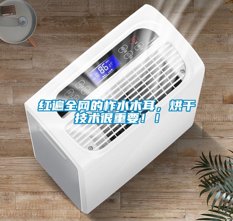 紅遍全網(wǎng)的柞水木耳，烘干技術(shù)很重要?。?/></p>
						    <p style=