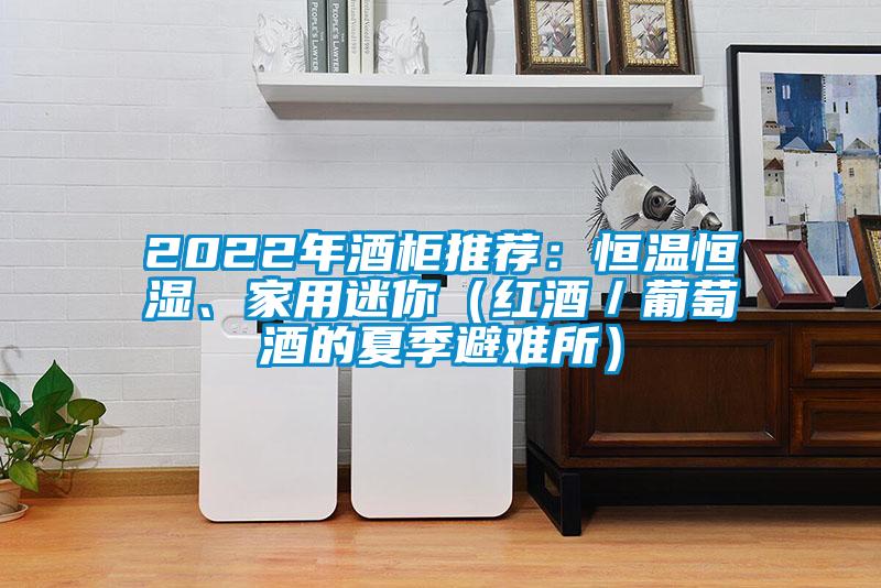 2022年酒柜推薦：恒溫恒濕、家用迷你（紅酒／葡萄酒的夏季避難所）
