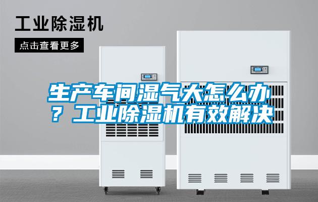 生產(chǎn)車間濕氣大怎么辦？工業(yè)除濕機(jī)有效解決