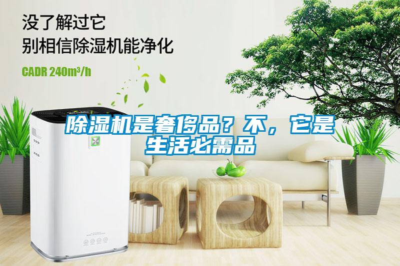 除濕機是奢侈品？不，它是生活必需品