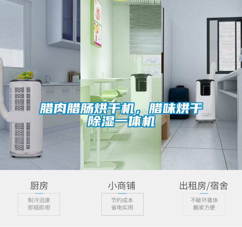 臘肉臘腸烘干機(jī)，臘味烘干除濕一體機(jī)