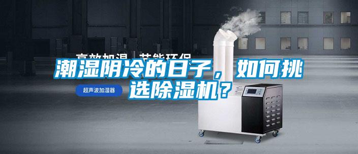 潮濕陰冷的日子，如何挑選除濕機？