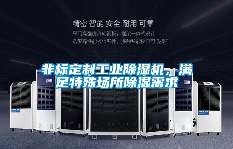 非標(biāo)定制工業(yè)除濕機(jī)，滿足特殊場(chǎng)所除濕需求