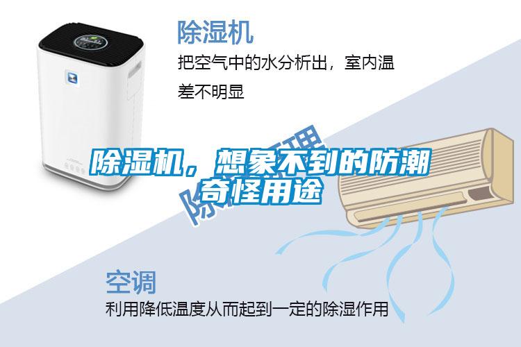 除濕機(jī)，想象不到的防潮奇怪用途