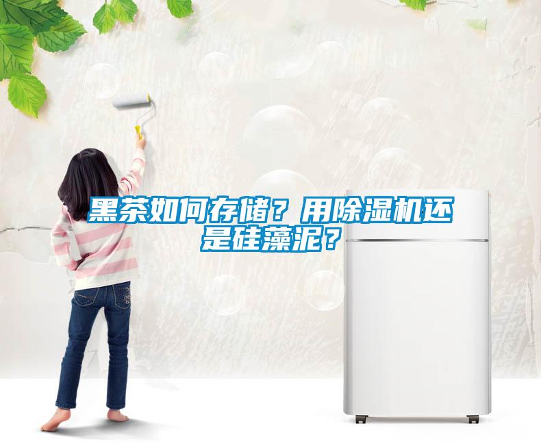 黑茶如何存儲(chǔ)？用除濕機(jī)還是硅藻泥？