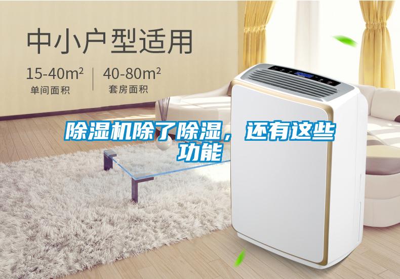 除濕機除了除濕，還有這些功能